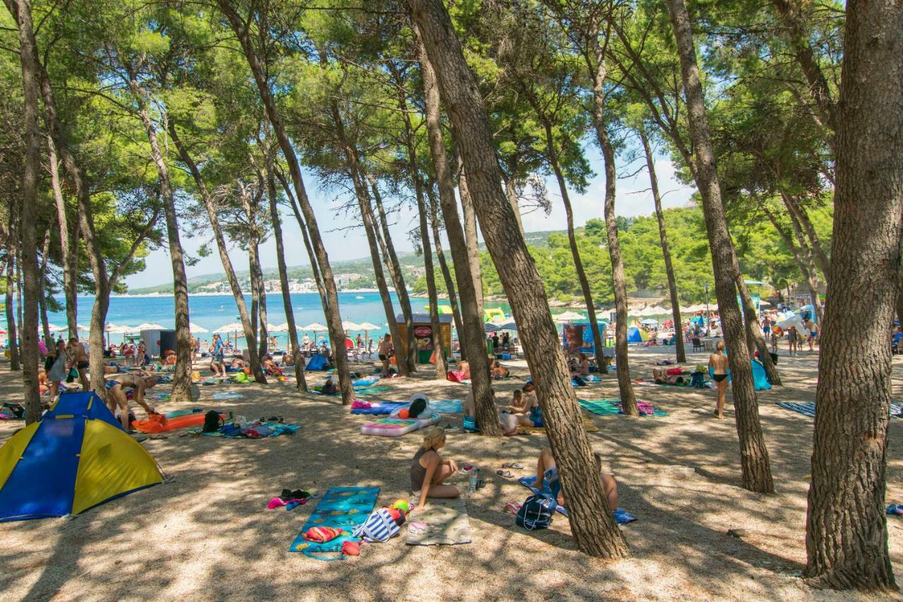 Apartment Palcic Примоштен Екстер'єр фото